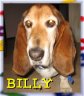 20080127_billy.JPG.jpg