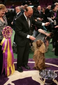 Dog Show