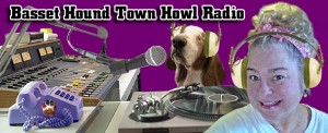 730x297-howl-radio-header