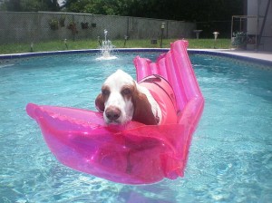 jb-relaxing-on-pink-float