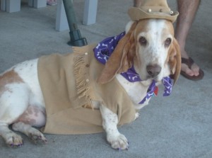 Harriet cowgirl hound!