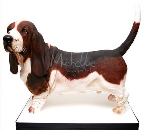 basset_hound