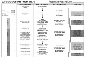 Quick Reference Guide for Bloat